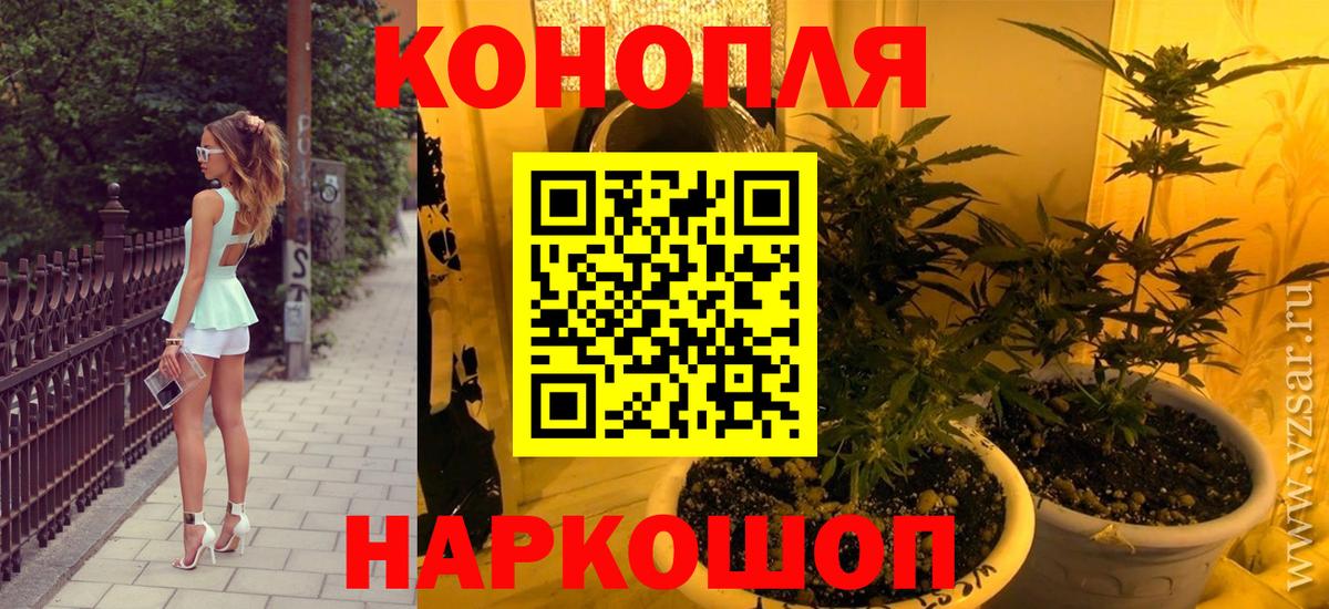 Бошки Шишки MAZAR Будённовск